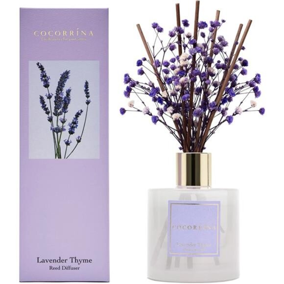 Premium Reed Diffuser Set with Preserved Baby's Breath & Cotton Stick Lavender - Picture 1 of 6
